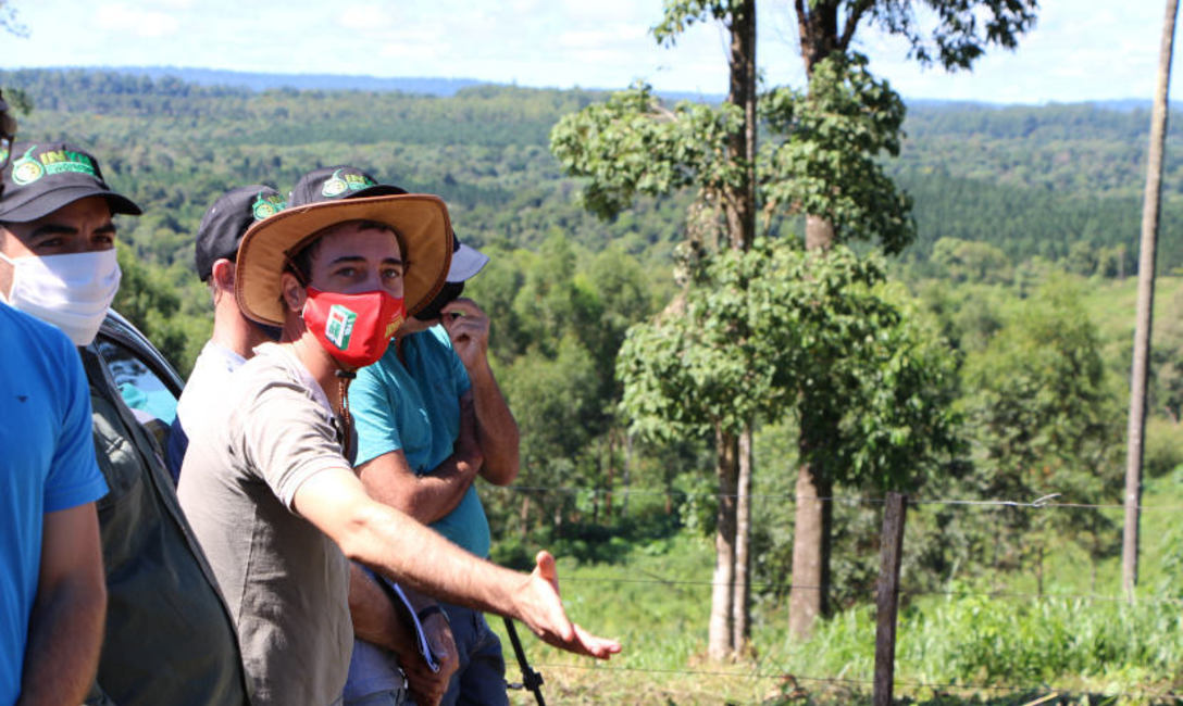 Cada yerbal tiene su historia, y es el productor quien decide, con acompa&ntilde;amiento t&eacute;cnico, c&oacute;mo optimizarlo.