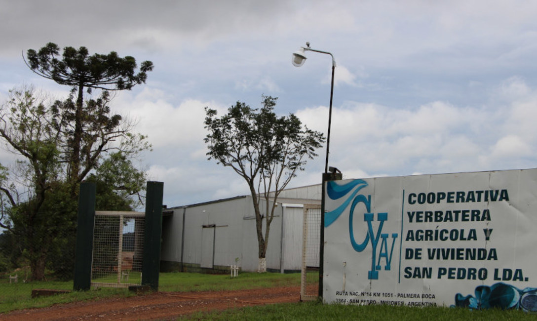 Ubicada en Palmera Boca, la entidad es hoy un referente en la compra de materia prima para toda la zona de San Pedro. Ubicada en Palmera Boca, la entidad es hoy un referente en la compra de materia prima para toda la zona de San Pedro.