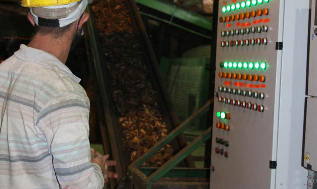 Uso de chip como fuente de calor en el secadero de Yerbatera, para mayor eficiencia y calidad en el producto final. Uso de chip como fuente de calor en el secadero de Yerbatera, para mayor eficiencia y calidad en el producto final.