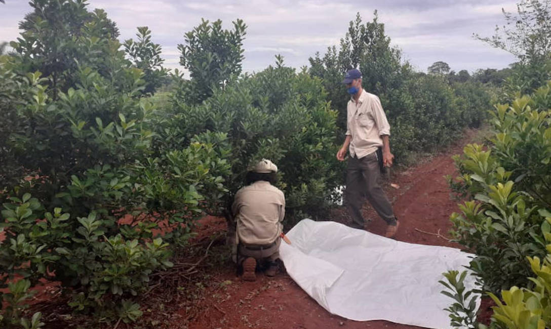 Imagen de Un buen corte para una buena cosecha