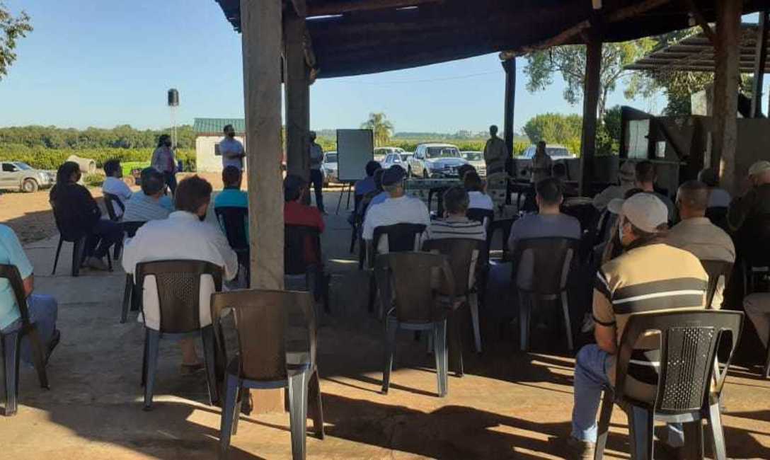 Imagen de C&oacute;mo acondicionar el suelo para una efectiva fertilizaci&oacute;n