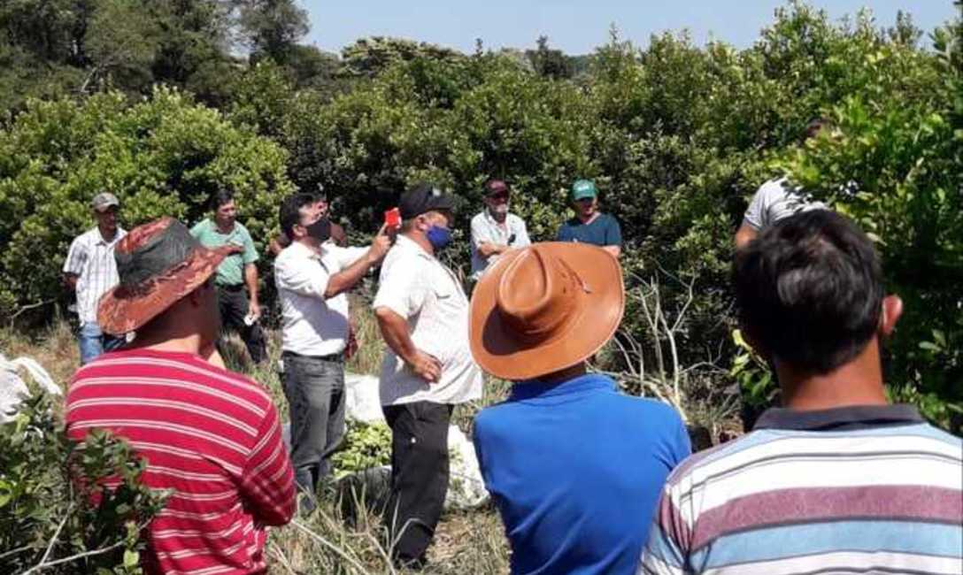 Imagen de Jornada sobre cosecha de yerba mate en Andresito