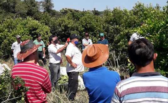 Imagen de Jornada sobre cosecha de yerba mate en Andresito