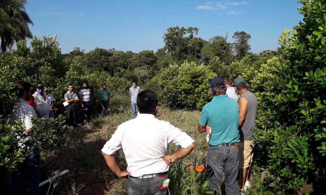 Imagen de Jornada sobre cosecha de yerba mate en Andresito