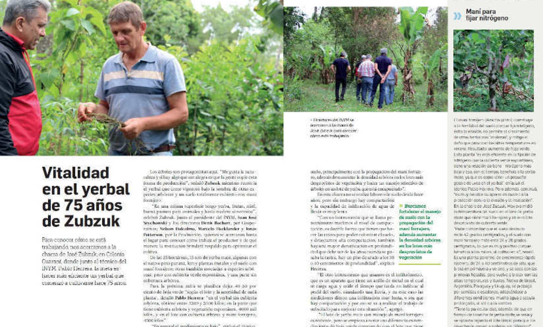 Imagen de Revista Digital Bien Nuestro Nº34 Imagen de Revista Digital Bien Nuestro Nº34