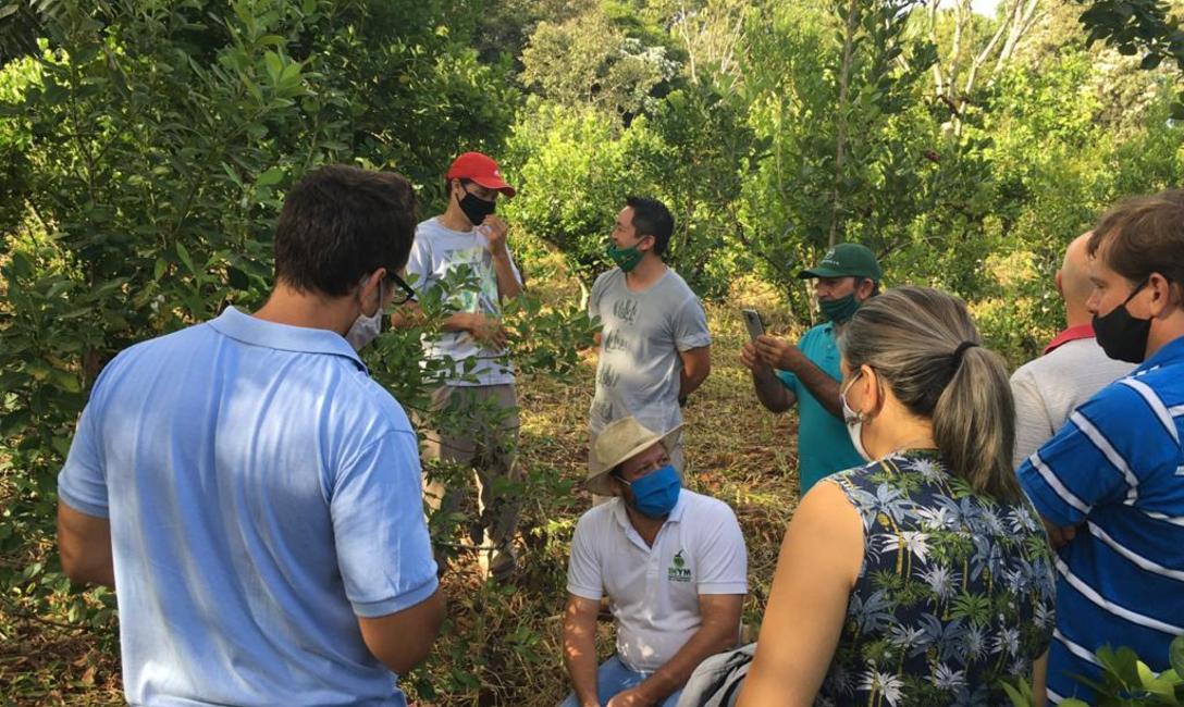 Imagen de Detecci&oacute;n temprana y desinfecci&oacute;n, claves para frenar el avance del Mal de la Tela