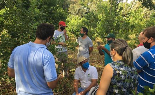 Imagen de Detecci&oacute;n temprana y desinfecci&oacute;n, claves para frenar el avance del Mal de la Tela