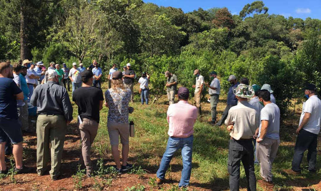 Imagen de Detecci&oacute;n temprana y desinfecci&oacute;n, claves para frenar el avance del Mal de la Tela