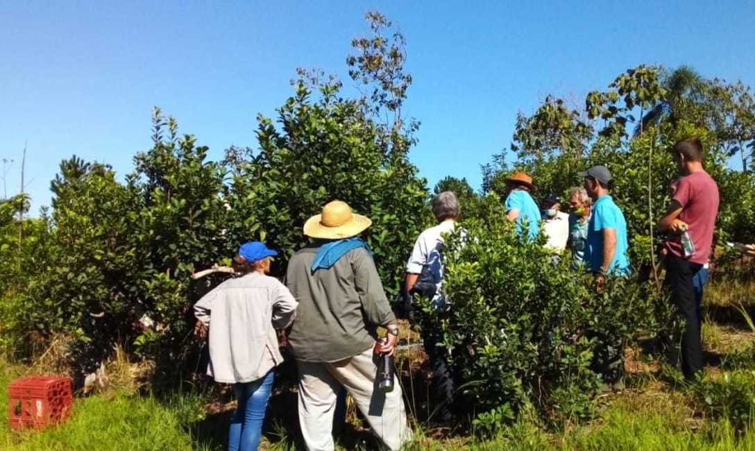 Imagen de C&oacute;mo lograr una buena cosecha, tema entre productores y t&eacute;cnicos en San Pedro