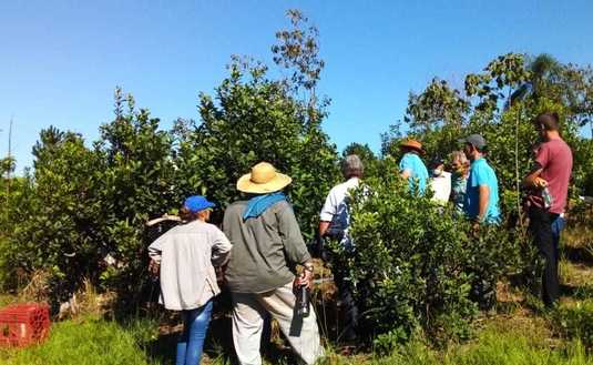 Imagen de C&oacute;mo lograr una buena cosecha, tema entre productores y t&eacute;cnicos en San Pedro