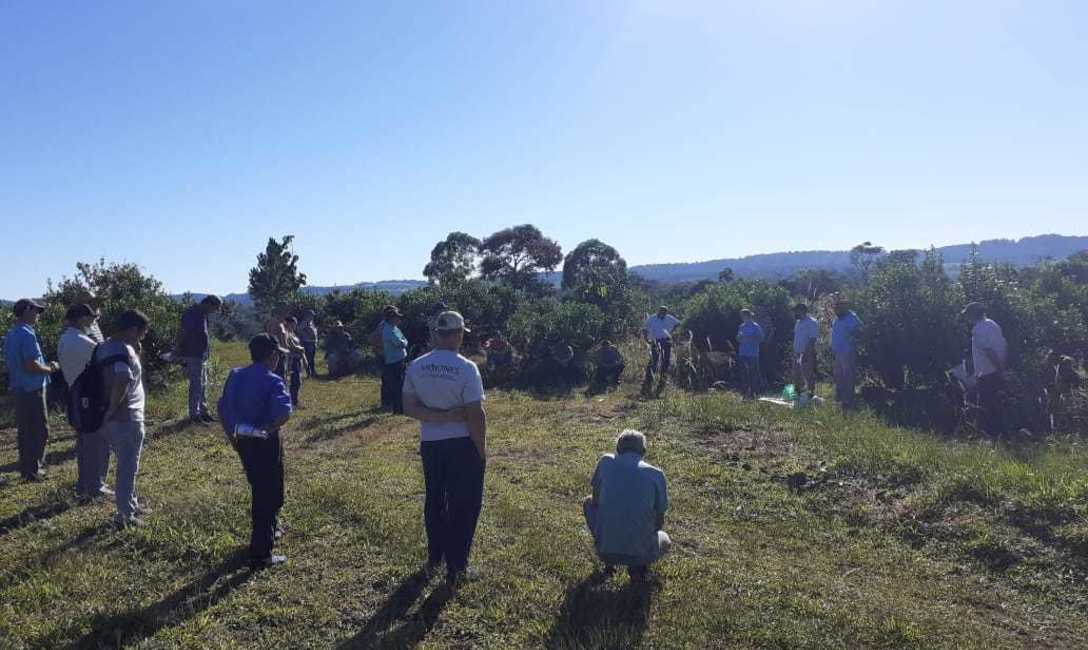 Imagen de C&oacute;mo lograr una buena cosecha, tema entre productores y t&eacute;cnicos en San Pedro