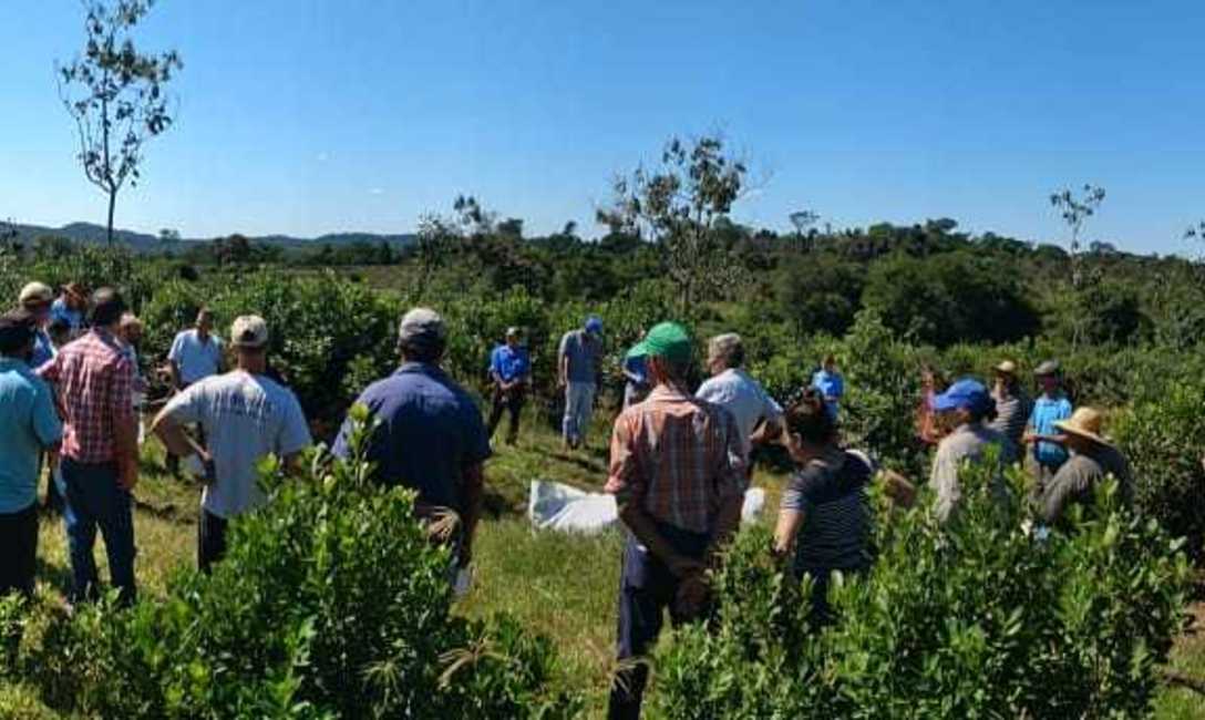 Imagen de C&oacute;mo lograr una buena cosecha, tema entre productores y t&eacute;cnicos en San Pedro