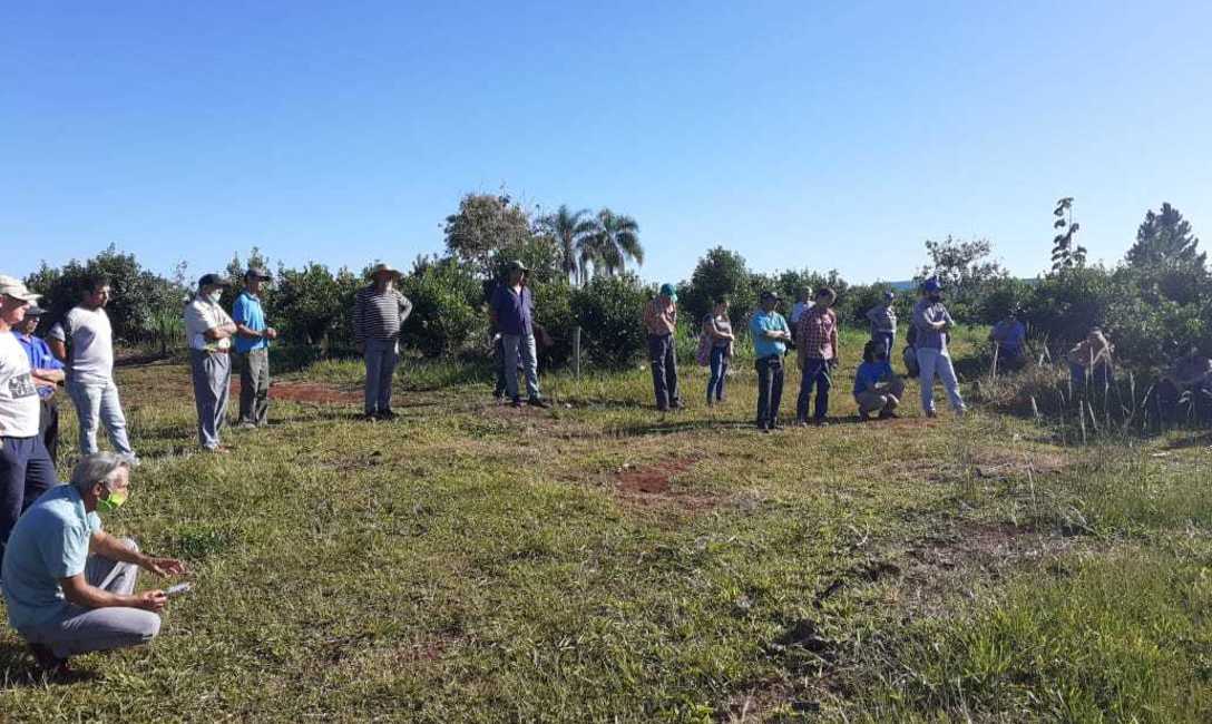 Imagen de C&oacute;mo lograr una buena cosecha, tema entre productores y t&eacute;cnicos en San Pedro