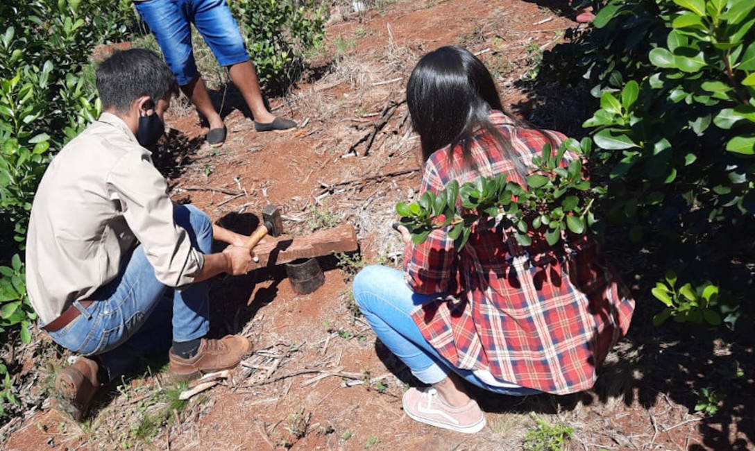 Imagen de La capacitación técnica del INYM también llega a estudiantes de la EFA Imagen de La capacitación técnica del INYM también llega a estudiantes de la EFA