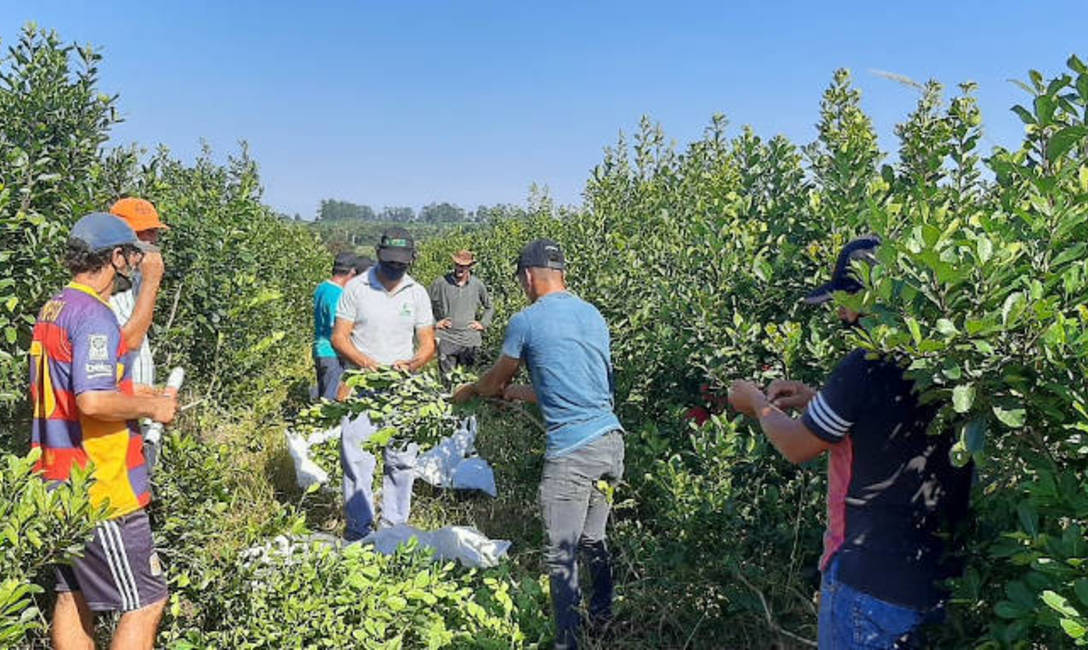 Imagen de Jornada t&eacute;cnica junto a productores de Wanda