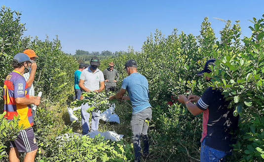 Imagen de Jornada t&eacute;cnica junto a productores de Wanda