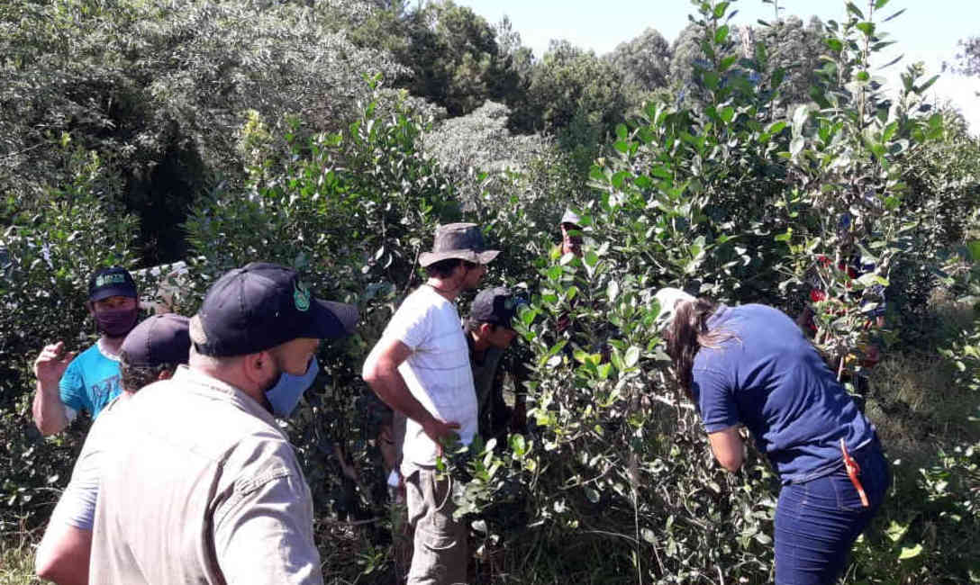Imagen de Jornada t&eacute;cnica junto a productores de Wanda