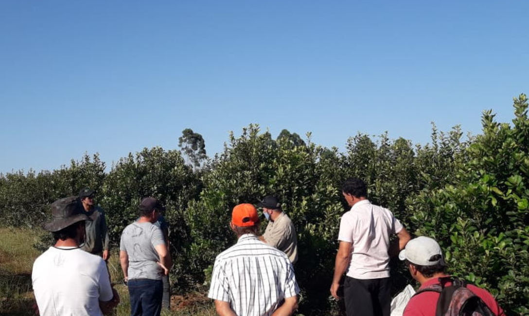 Imagen de Jornada t&eacute;cnica junto a productores de Wanda