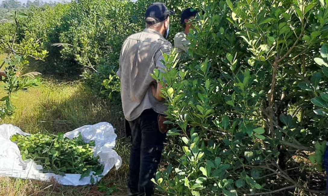 Imagen de Jornada t&eacute;cnica junto a productores de Wanda