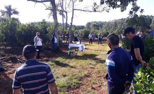 Imagen de C&oacute;mo mejorar el yerbal, en Florentino Ameghino