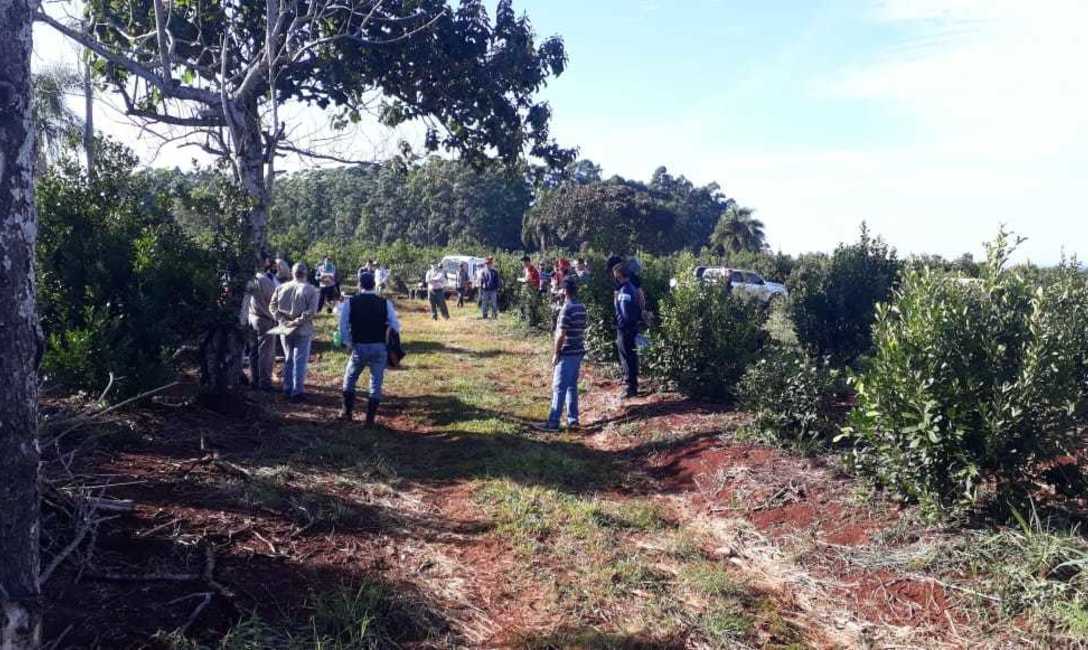 Imagen de C&oacute;mo mejorar el yerbal, en Florentino Ameghino