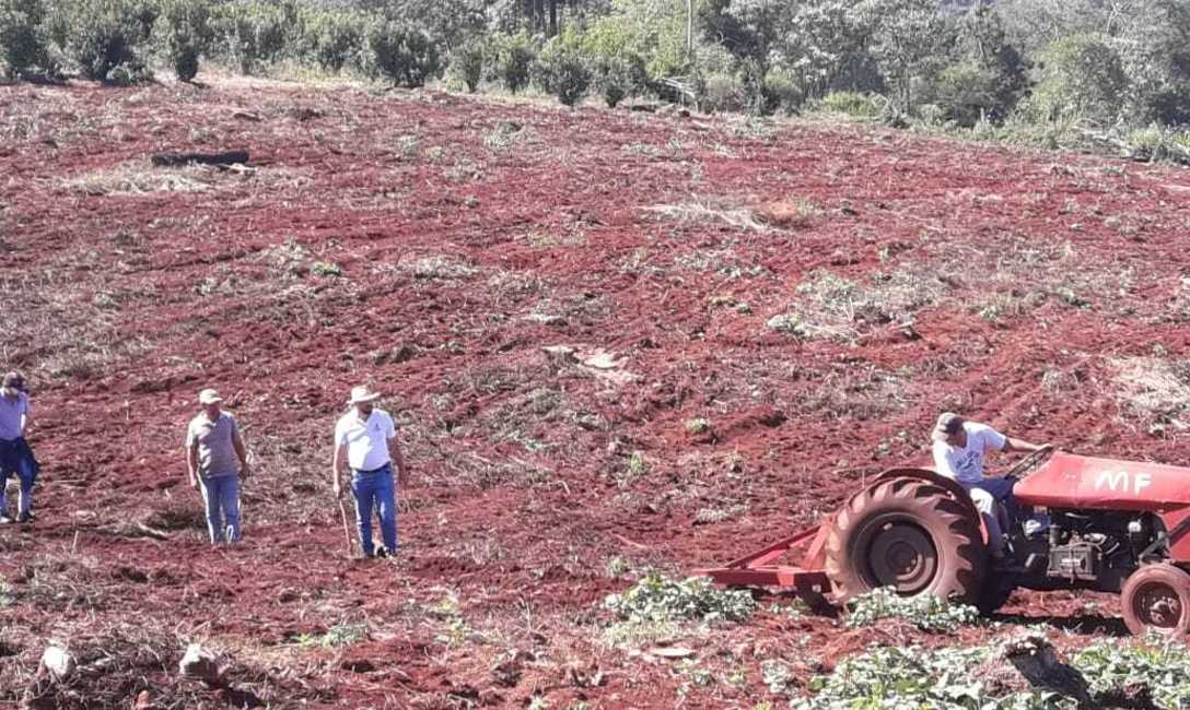 Imagen de T&eacute;cnicas para retener el agua en el yerbal de Panasowich, en Colonia Alicia