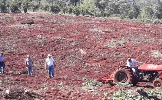 Imagen de T&eacute;cnicas para retener el agua en el yerbal de Panasowich, en Colonia Alicia