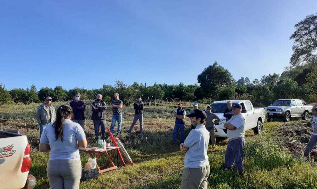 Imagen de T&eacute;cnicas para retener el agua en el yerbal de Panasowich, en Colonia Alicia
