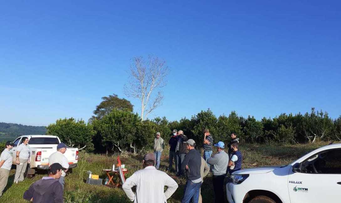 Imagen de T&eacute;cnicas para retener el agua en el yerbal de Panasowich, en Colonia Alicia