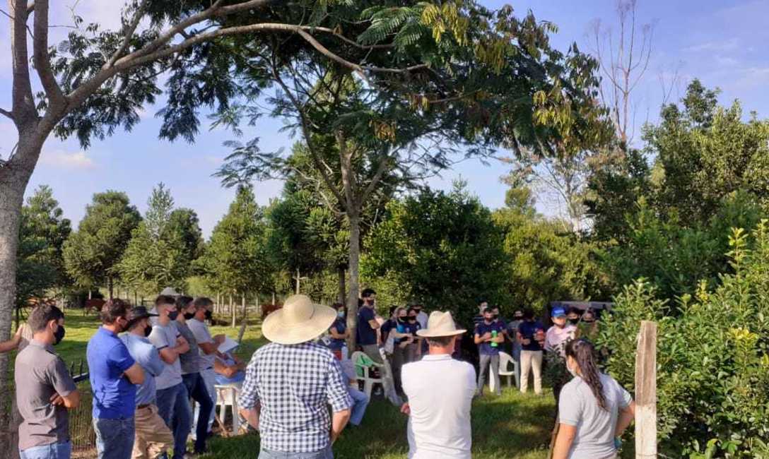 Imagen de Jornada de yerba mate con productores, estudiantes y docentes de la IEA