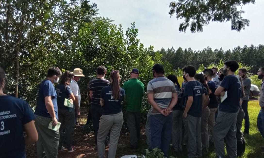 Imagen de Jornada de yerba mate con productores, estudiantes y docentes de la IEA