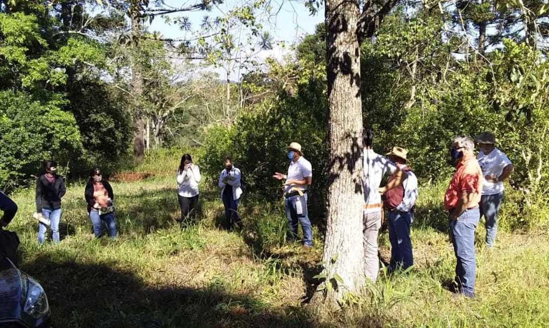 Imagen de �El Servicio de Extensi&oacute;n Yerbatero del INYM va camino a consolidarse�