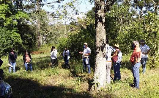 Imagen de �El Servicio de Extensi&oacute;n Yerbatero del INYM va camino a consolidarse�