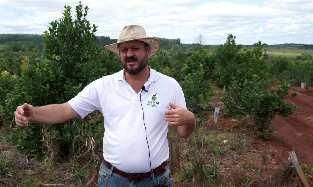 Ingeniero agr&oacute;nomo Mat&iacute;as Bazila, del &Aacute;rea T&eacute;cnica del INYM,