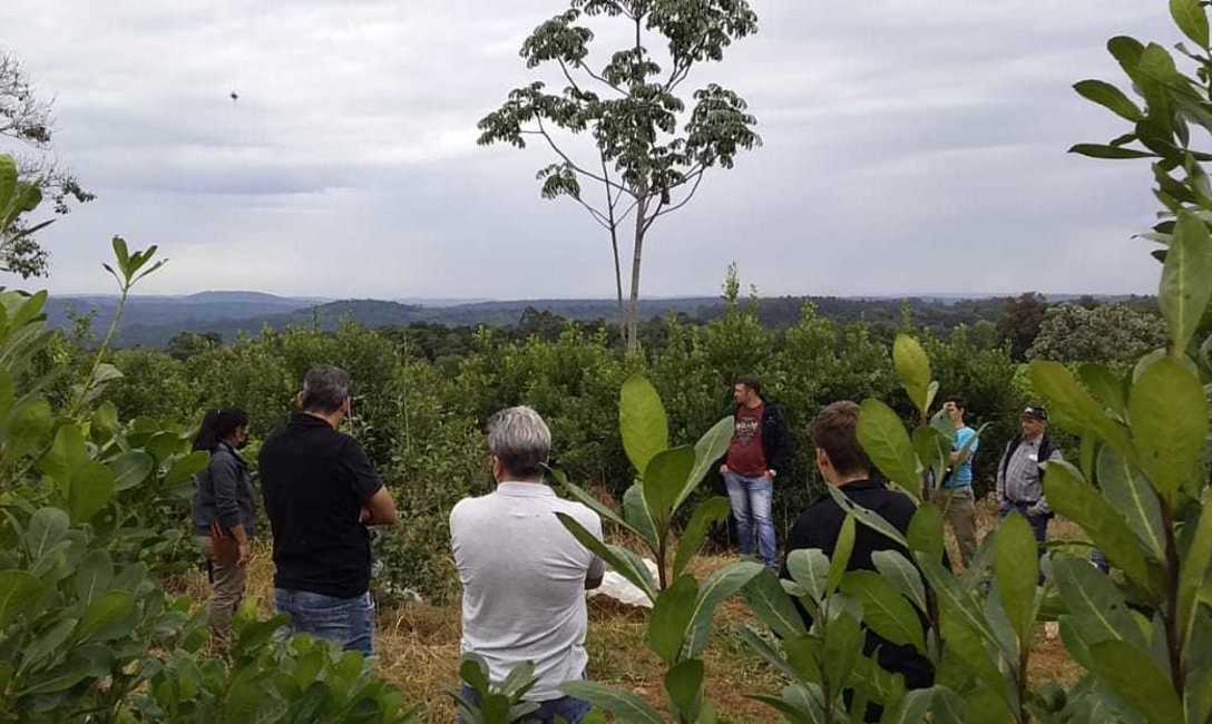 El Servicio de Extensi&oacute;n Yerbatero del INYM tiene como objetivo brindar asistencia integral a los productores,
