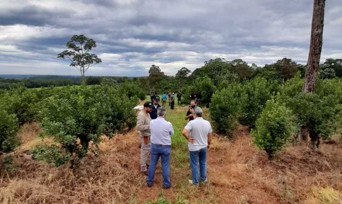 Para mejorar las condiciones de suelo, los t&eacute;cnicos del INYM promueven la sistematizaci&oacute;n de caminos y el uso de cubiertas verdes...