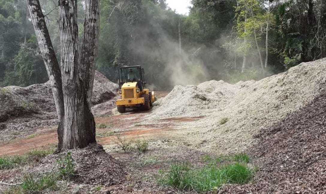 Imagen de Otros 400 mil kilos de palitos fueron inutilizados por el INYM para garantizar calidad al producto final