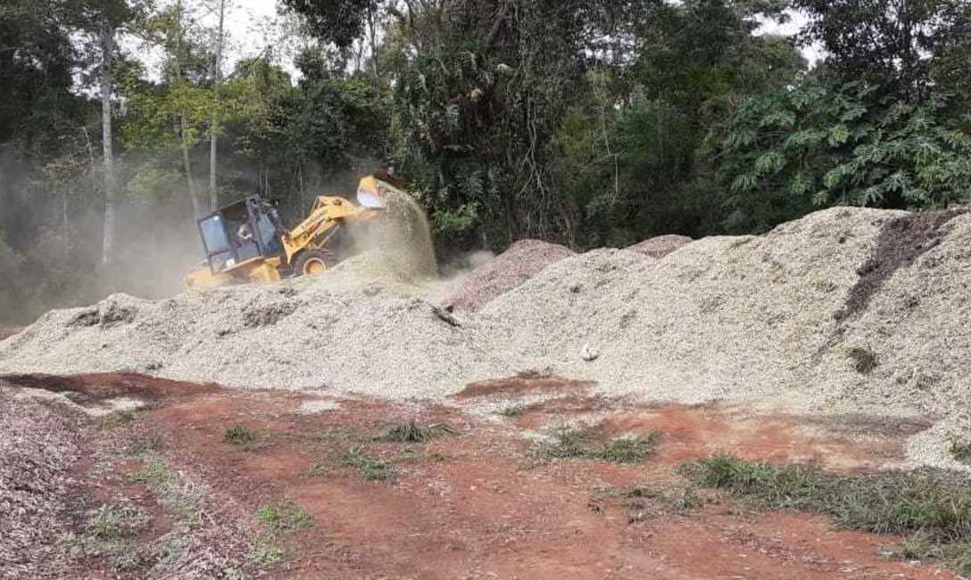 Imagen de Otros 400 mil kilos de palitos fueron inutilizados por el INYM para garantizar calidad al producto final