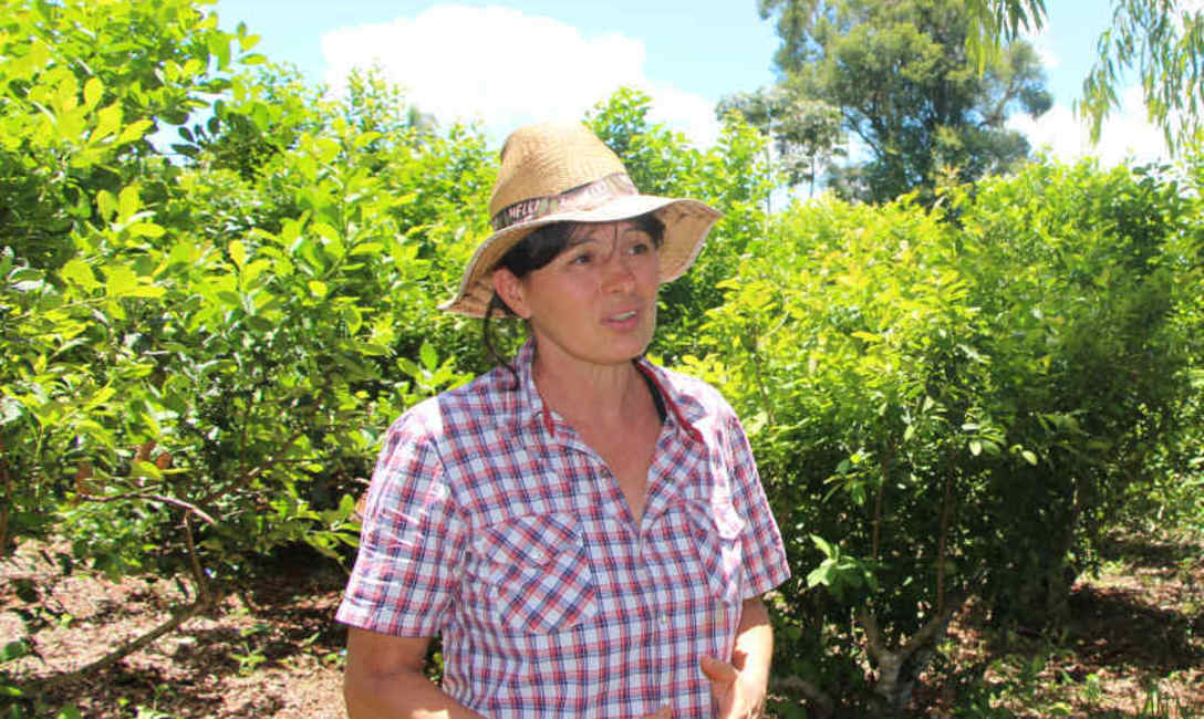 Nilda Beatriz Zetterlund es propietaria de una chacra agroecológica. Nilda Beatriz Zetterlund es propietaria de una chacra agroecológica.