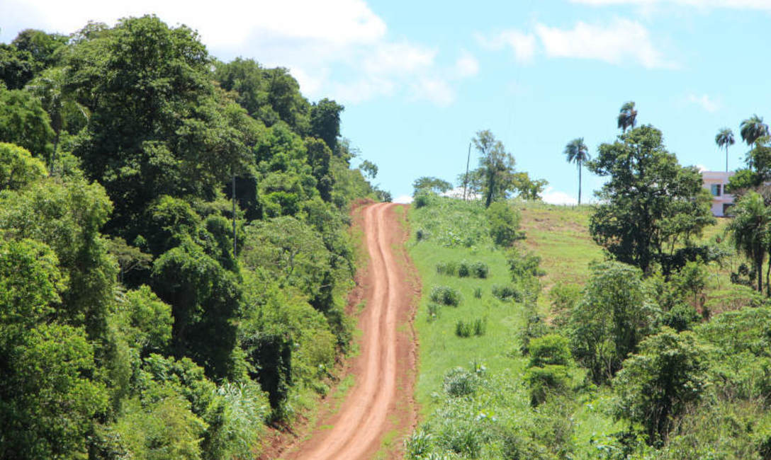 Monte y tierra roja: el camino a la chacra de Nilda, en Andresito, Misiones Monte y tierra roja: el camino a la chacra de Nilda, en Andresito, Misiones