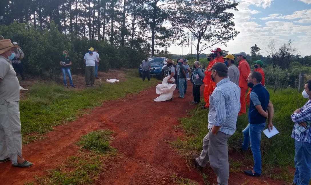 Imagen de C&oacute;mo mejorar la cosecha, en la chacra de Renata Hag, en Liebig
