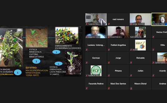 Imagen de Comenz&oacute; el Curso Taller �Propagaci&oacute;n por Minicepas y Miniestacas de Yerba Mate�