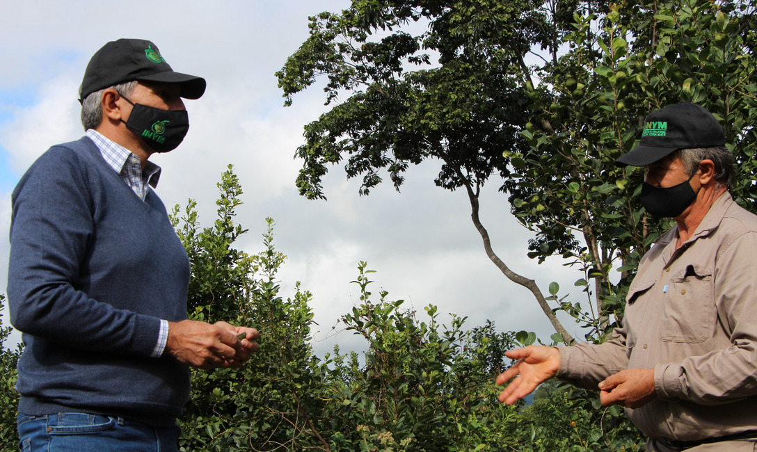 Imagen de Mario Basilio Novosak fue distinguido por el INYM como Buen Productor Yerbatero 2020 Imagen de Mario Basilio Novosak fue distinguido por el INYM como Buen Productor Yerbatero 2020