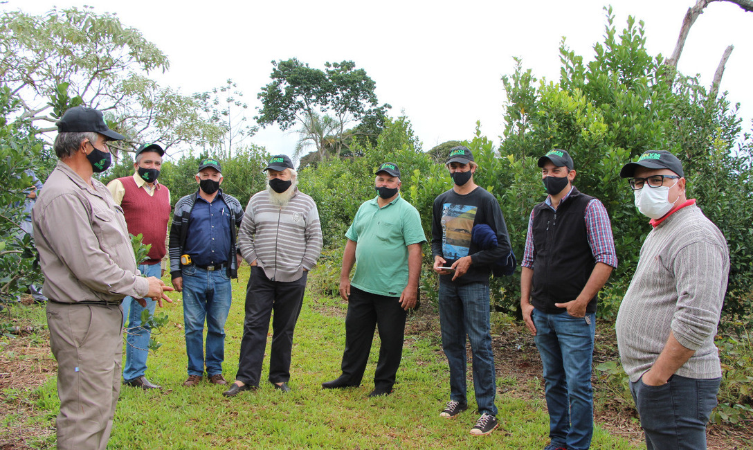 Imagen de Mario Basilio Novosak fue distinguido por el INYM como Buen Productor Yerbatero 2020 Imagen de Mario Basilio Novosak fue distinguido por el INYM como Buen Productor Yerbatero 2020