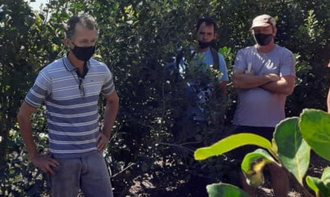 Imagen de El productor Drebel increment&oacute; 50 por ciento el rendimiento del yerbal