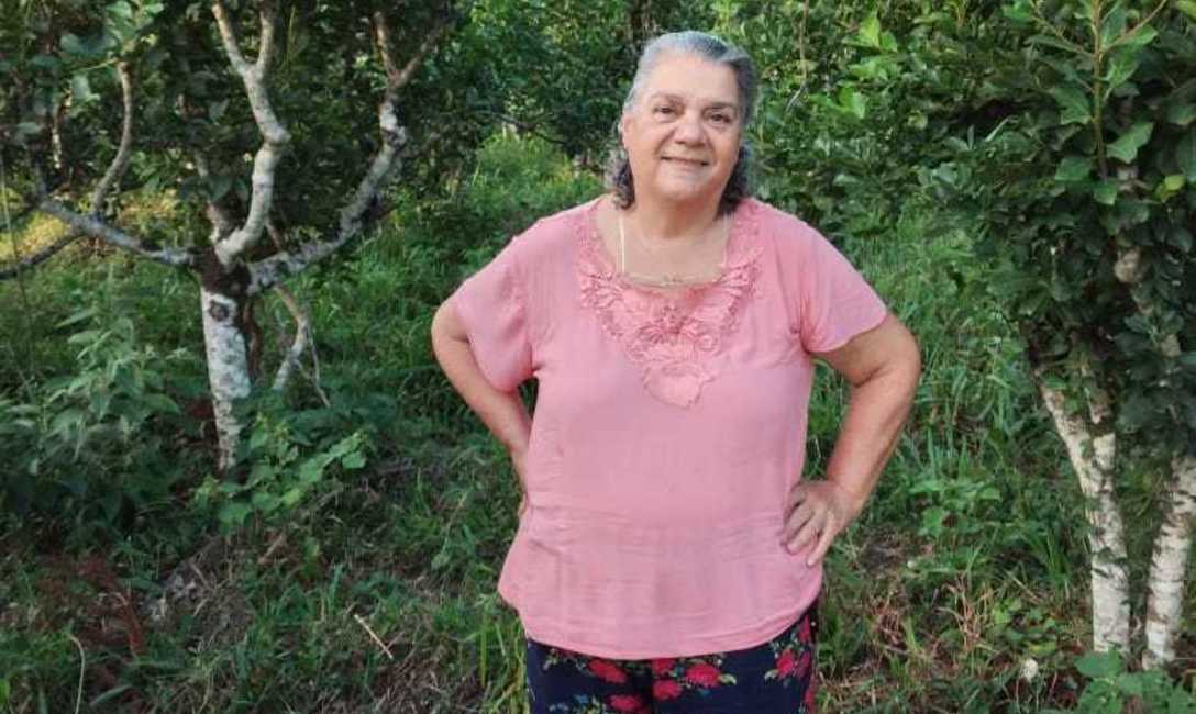 En el yerbal, en Andresito, Misiones En el yerbal, en Andresito, Misiones