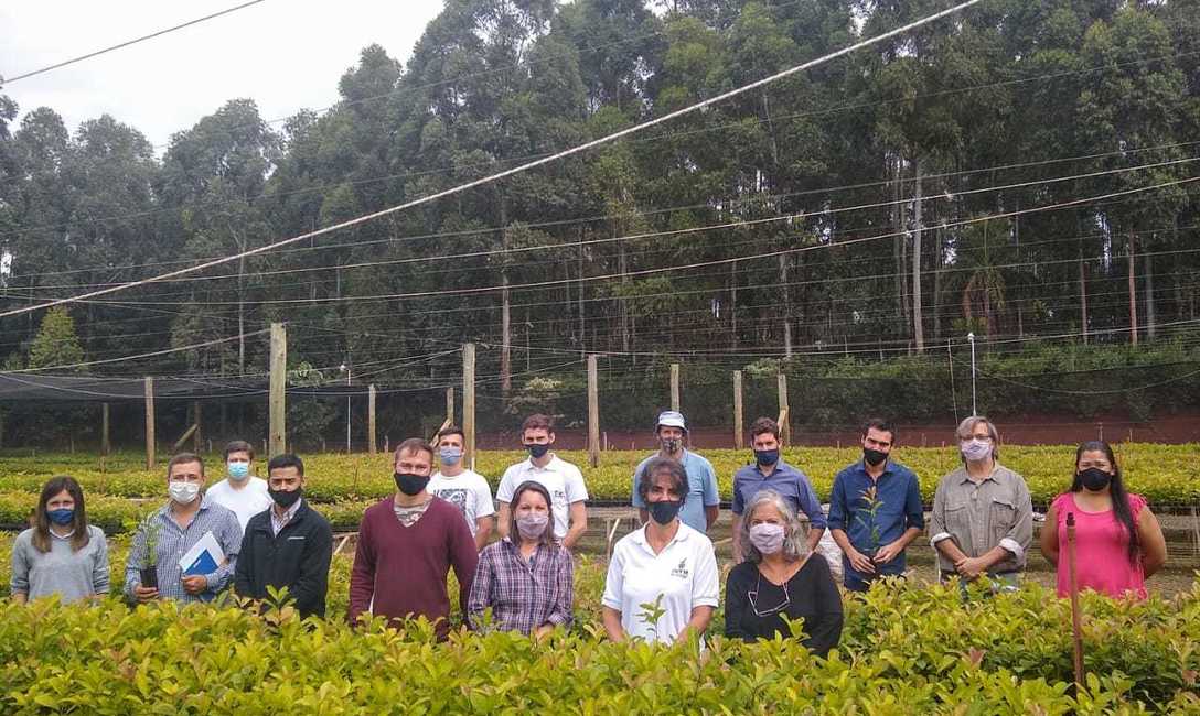 Imagen de Nueva jornada sobre propagaci&oacute;n por minicepas y miniestacas de yerba mate