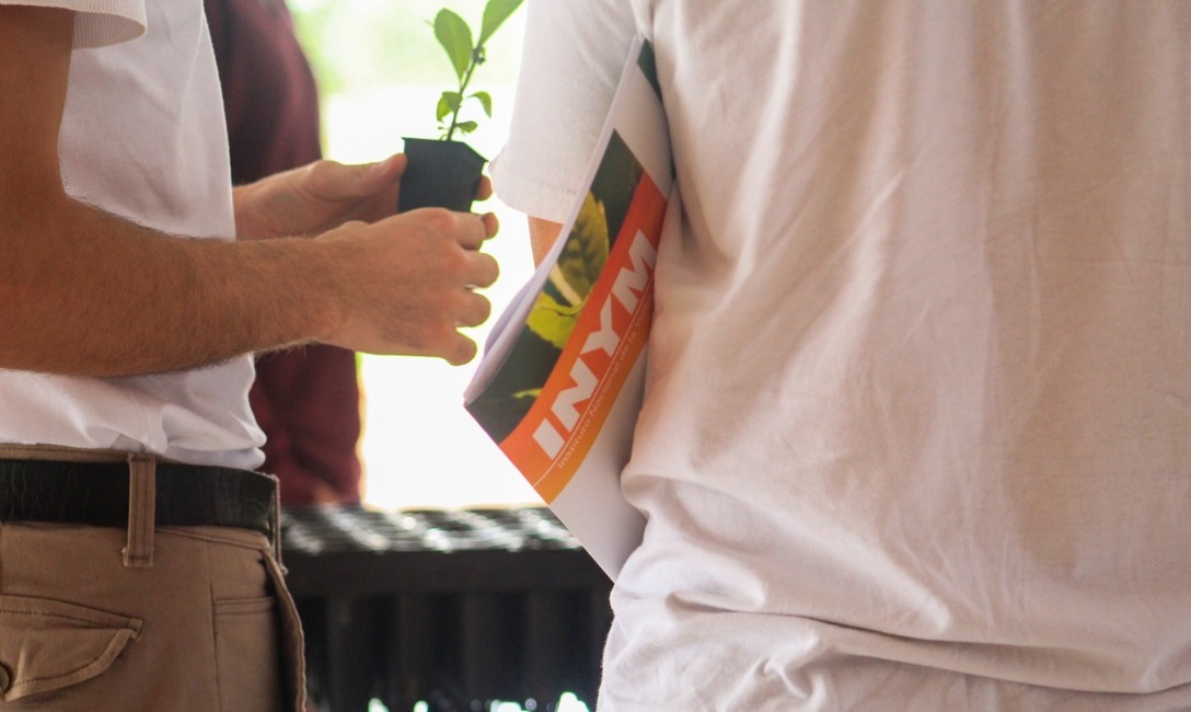 Imagen de Nueva jornada sobre propagaci&oacute;n por minicepas y miniestacas de yerba mate