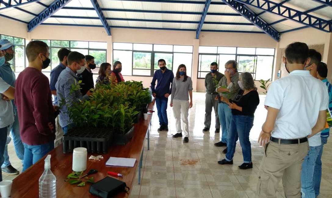 Imagen de Nueva jornada sobre propagaci&oacute;n por minicepas y miniestacas de yerba mate