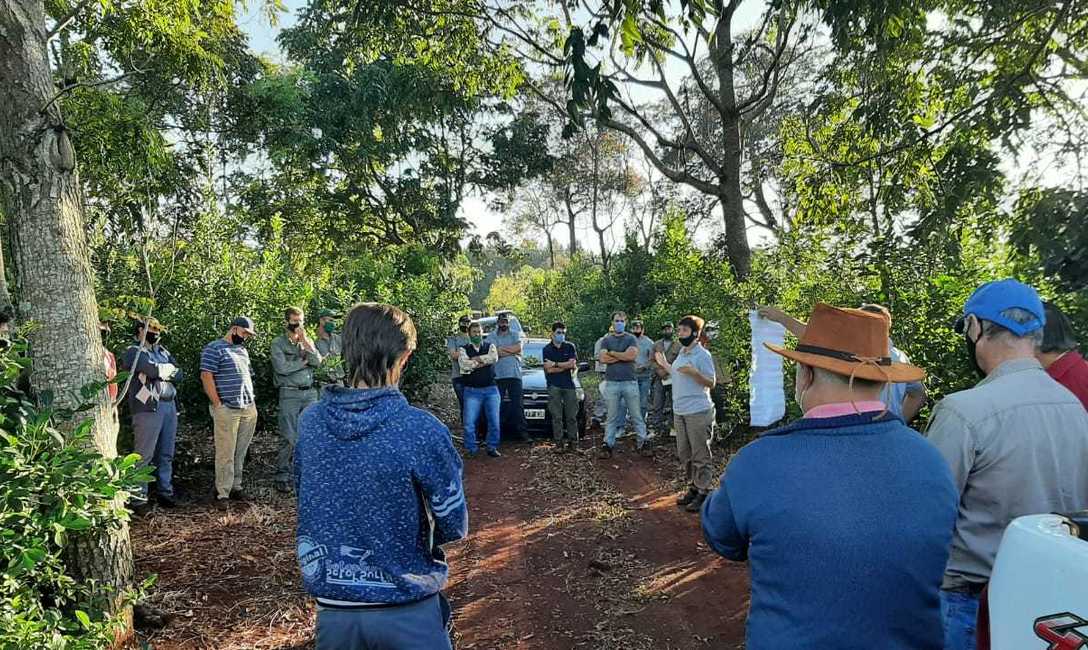 Imagen de Es tiempo de cosecha y de m&aacute;s capacitaci&oacute;n en la chacra de Susana Pauluk